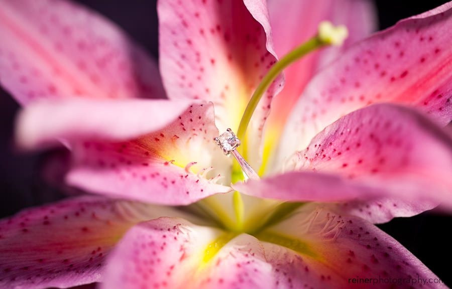 Longwood Gardens engagement photo session diamond ring in Lily