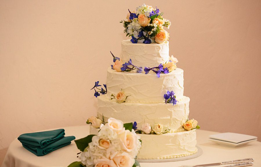 Columbia Station wedding photography - reception