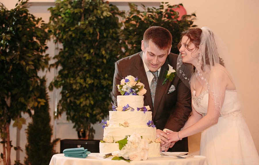 Columbia Station wedding photography - reception - cake cutting