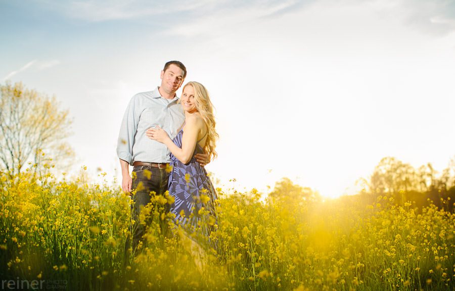 06 - West Chester Engagement Photos - Ashley and Jeff West Chester Engagement Photos - engaged couple in a field of yellow flowers near West Chester, PA