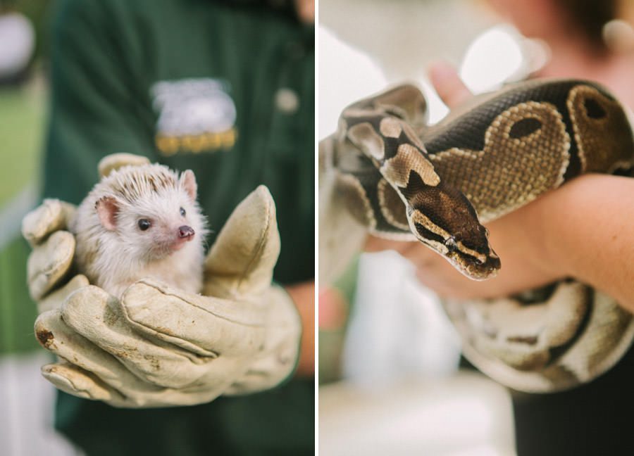 Jen and Mike's wedding reception at Barn on Bridge, by Philadelphia wedding Photographers Reiner Photography