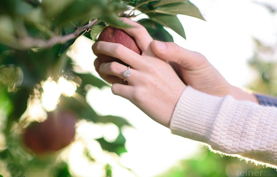 Highland Orchards Engagement Session West Chester Pa