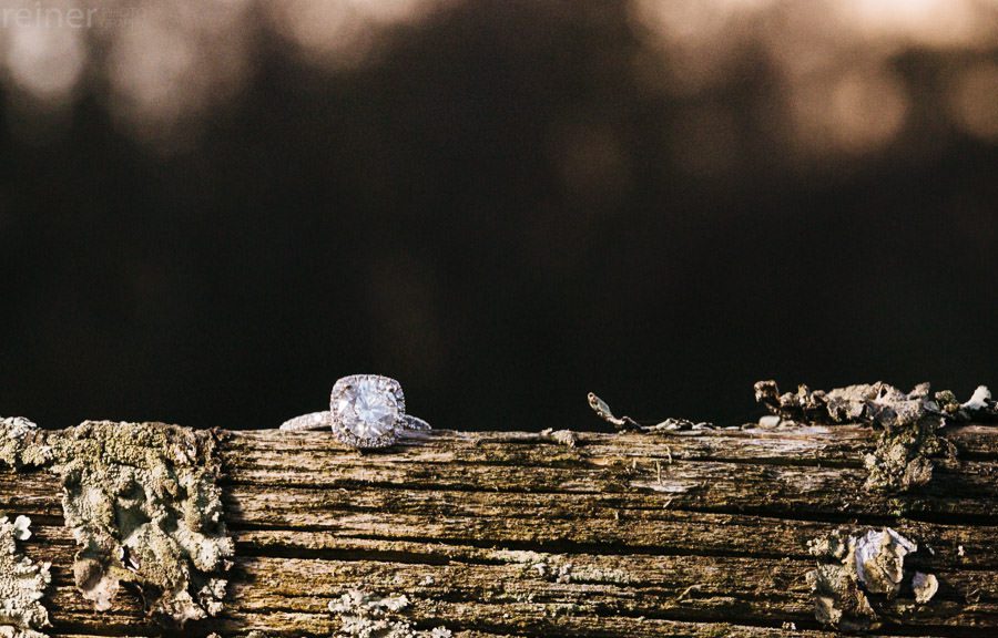 Highland Orchards Engagement Session West Chester Pa