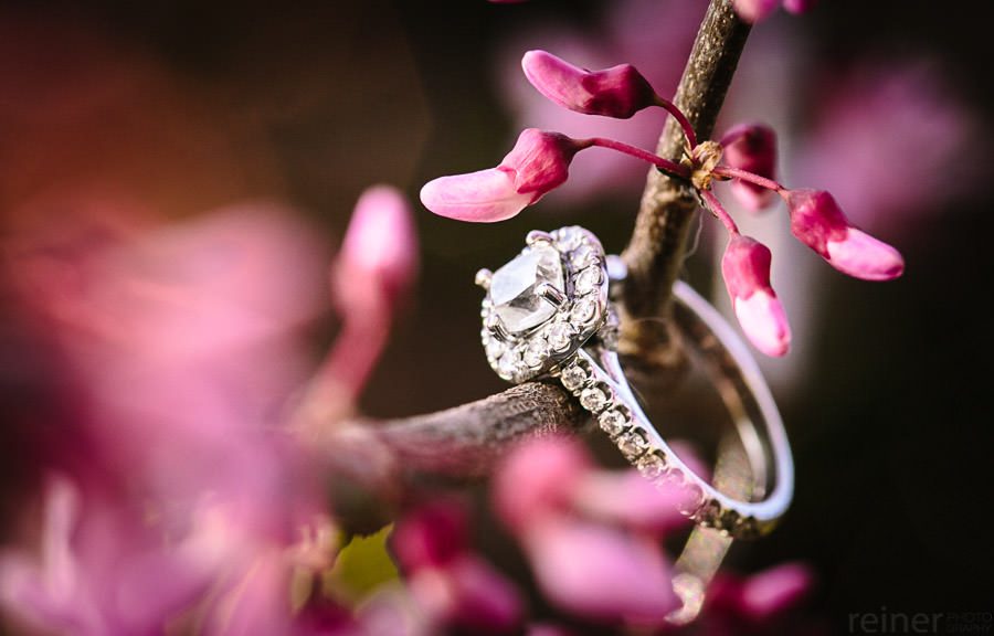 Engagement Photos at Longwood Gardens