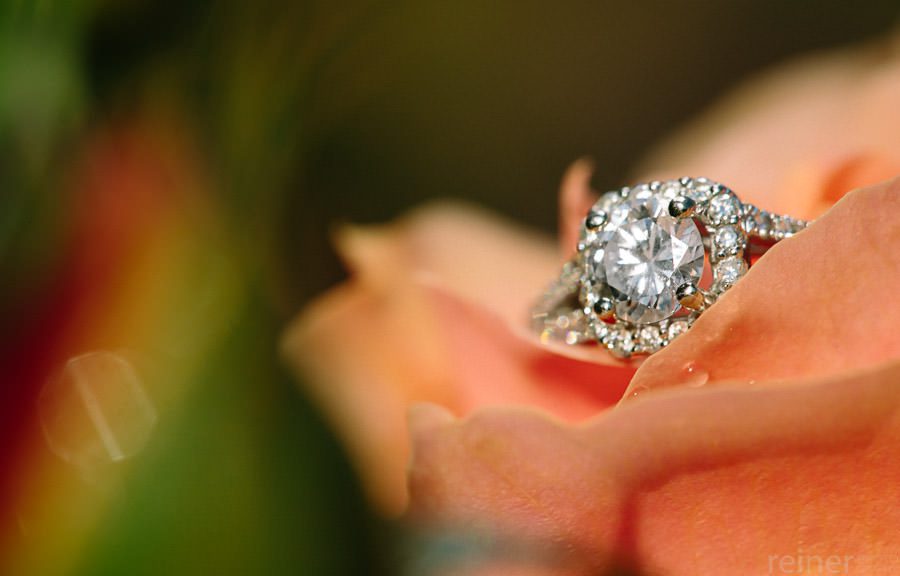 10 Longwood Gardens Engagement Session - Jackie and Kevin