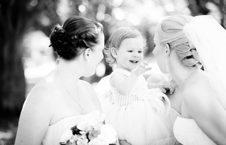 West Chester Pennsylvania area, Wedding Pictures