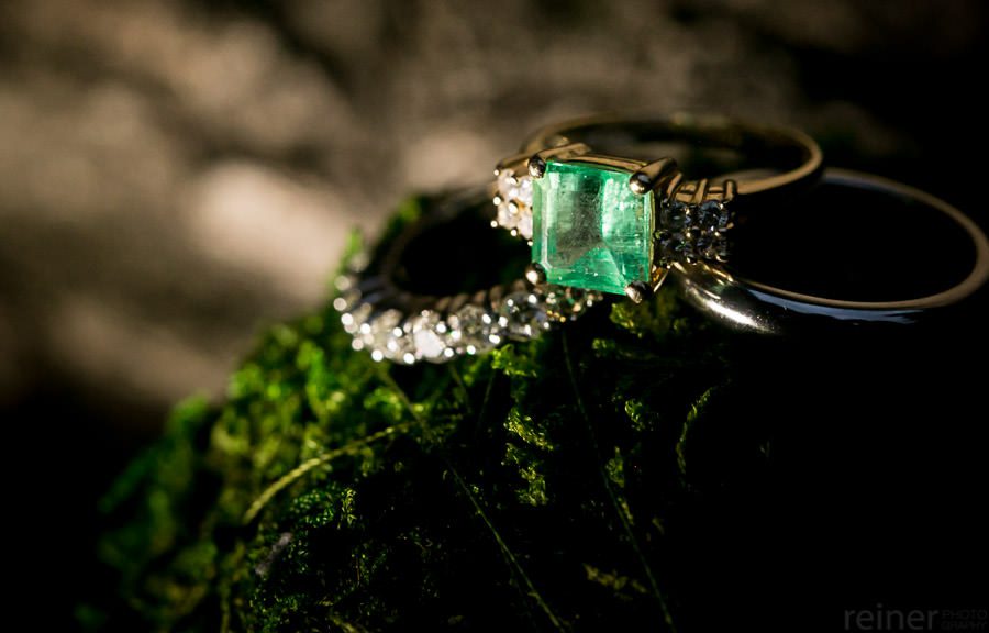 42 Wedding at John James Audubon Center at Mill Grove, in Audubon PA — Kelly & jim — by Reiner Photography