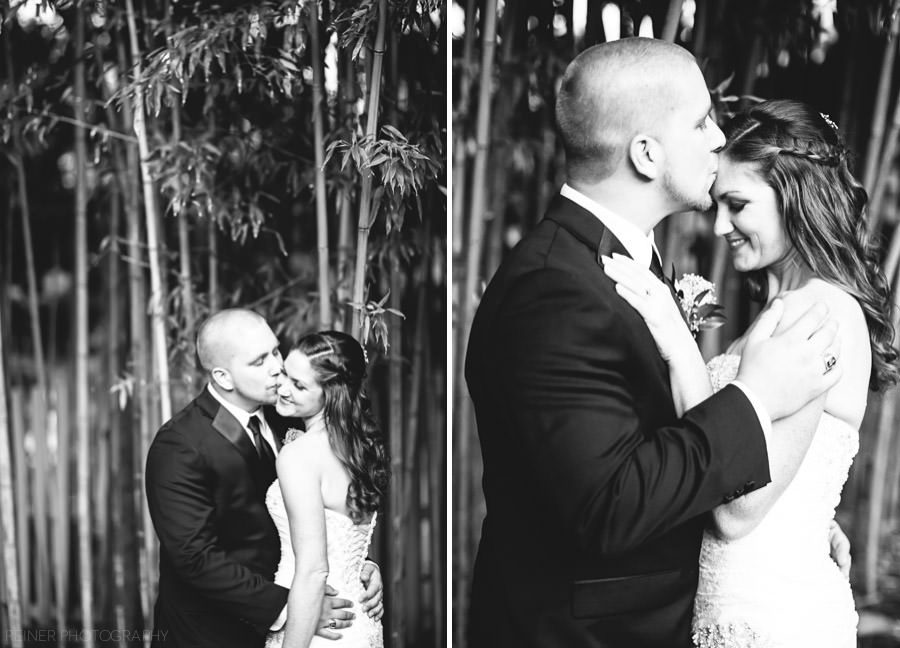 31 Wedding in New Jersey at The Rams Head Inn - Stephanie & Cory