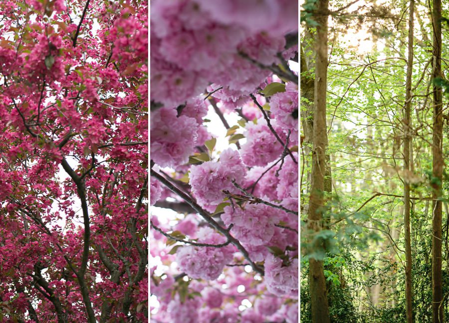 12 Newtown Square PA Wedding - Ciara & Steve